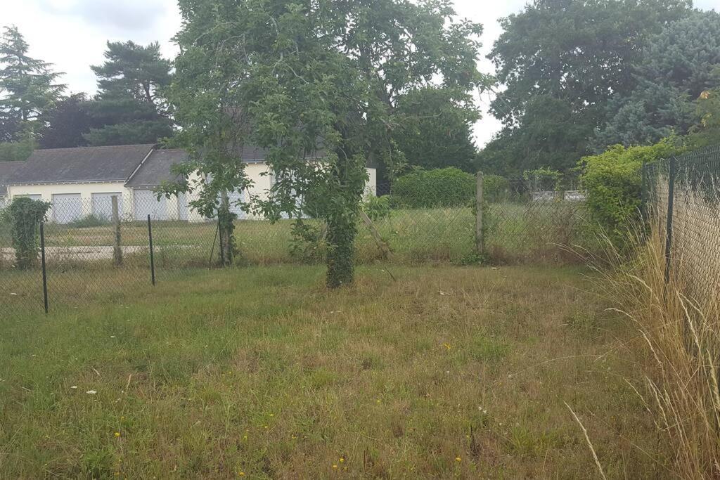 Charmante Maison Pres Du Centre Ville Amboise Dış mekan fotoğraf
